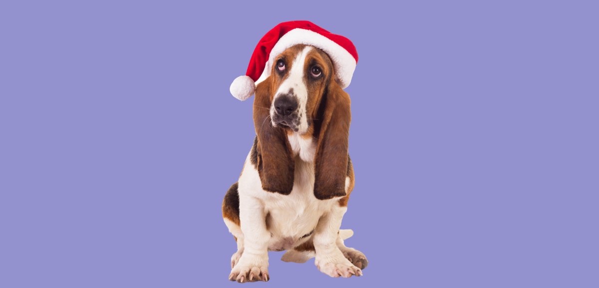 Blog cover: The Ultimate Teen Christmas Gift Guide