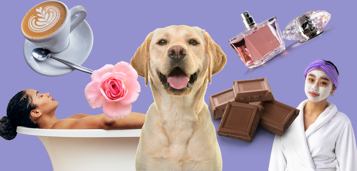 Blog cover: Discover Your Inner Sparkle: Embracing Glimmers of Joy!