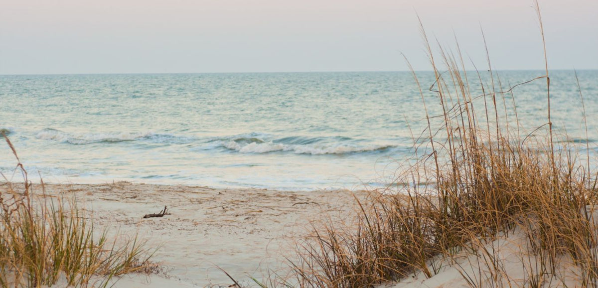 Blog cover: Embracing Winter Sun: The Importance of Getting Outdoors During the Colder Months